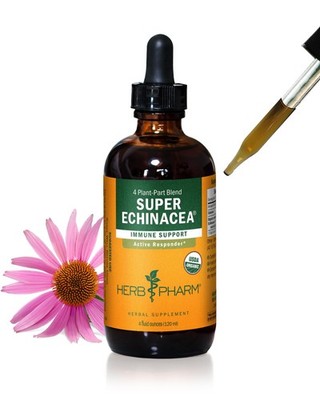 Herb Pharm, Super Echinacea, 4 Ounce 4 Fl Oz (Pack of 1)