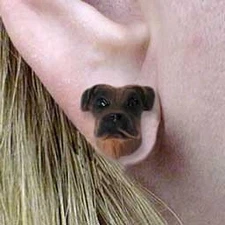 Conversation Concepts Boxer Tawny Uncropped Earrings Post