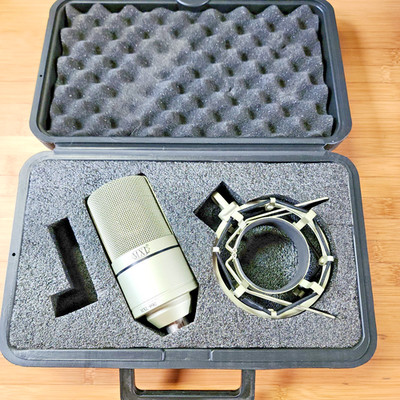 MXL 990 Condenser Wired Professional Microphone with Shock Mount and Case