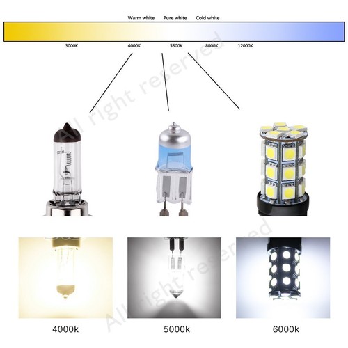 8-Quart Digital Air Fryer