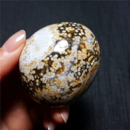 Rare 90G Natural Polished Orbicular Ocean Jasper Reiki Healing YQ101 - Picture 12 of 12