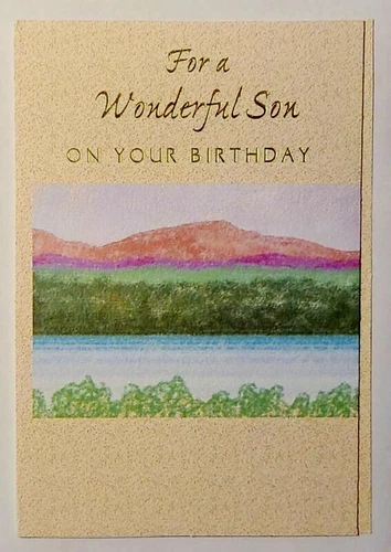 1 Birthday Greeting Card/Envelope Son Child Step Boy Wonderful Happy Love Proud