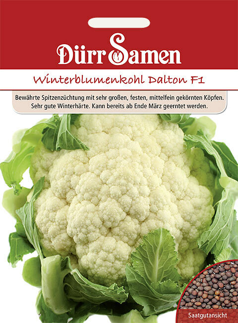 Bild 6 von 115
