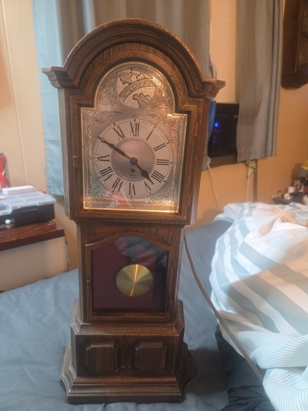 Vintage Sunbeam Tempus Fugit Electric Pendulum Mini Grandfather Clock USA