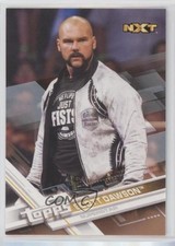 2017 Topps WWE Bronze Scott Dawson #84 9aj