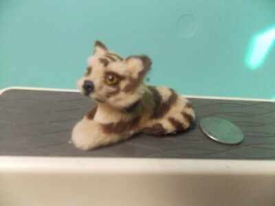 Furry Little Tiger