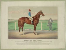 8" x 10" Photo Ready for the signal: the celebrated running horse Harry Bassett