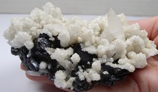 SPHALERIT Quarz Calcit Dolomit Herja Cavnic Rumänien 12,0 x 8,6CM !!!