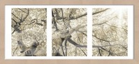 Bilderrahmen Holz Luzern Duplo Eiche 23 X 50 Cm Bilderrahmen