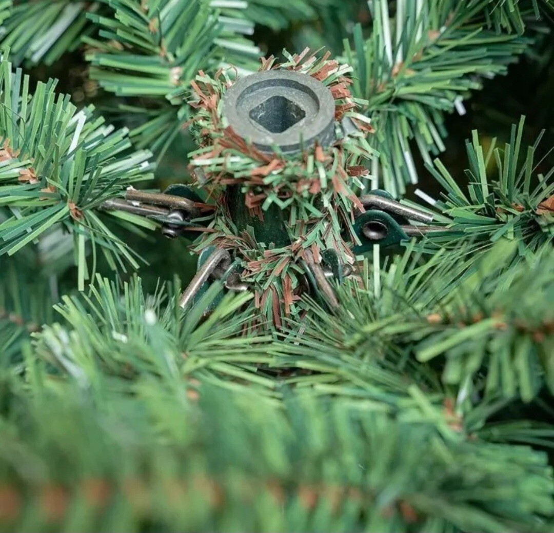 Giulia Grillo Christmas Tree 7ft/2.10m, 2382 Tips, Bushy, Luxury