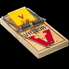 Heavy Duty Rat Trap – Pre-Baited Snap Trap, Quick Kill Spring Action, Easy-Set
