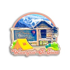 Wrangell-St. Elias National Park USA Refrigerator magnet 3D travel souvenirs