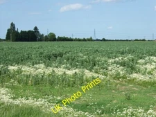 Photo 6x4 Crop field off Master Dike Manor Hill Corner  c2015