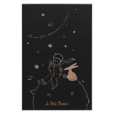 Moleskine Notizbuch Der kleine Prinz Geschenk...