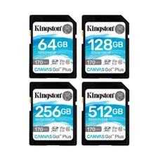 Kingston SD Card 64GB 128GB 256GB SDG3 Memory Cards Up to 170MB/s Read V30 U3 Fl