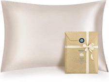 Satin Pillowcase 2 Pack Beige Standard 20x26 Silky Soft Zipper Pillow Cover