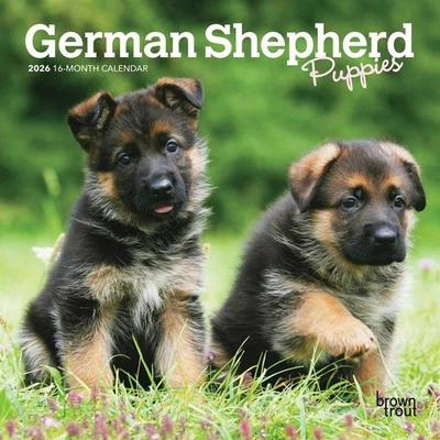 BROWNTROUT PUBLISHERS German Shepherd Puppies Mini Calendar 2026 - Dogs - Month To View