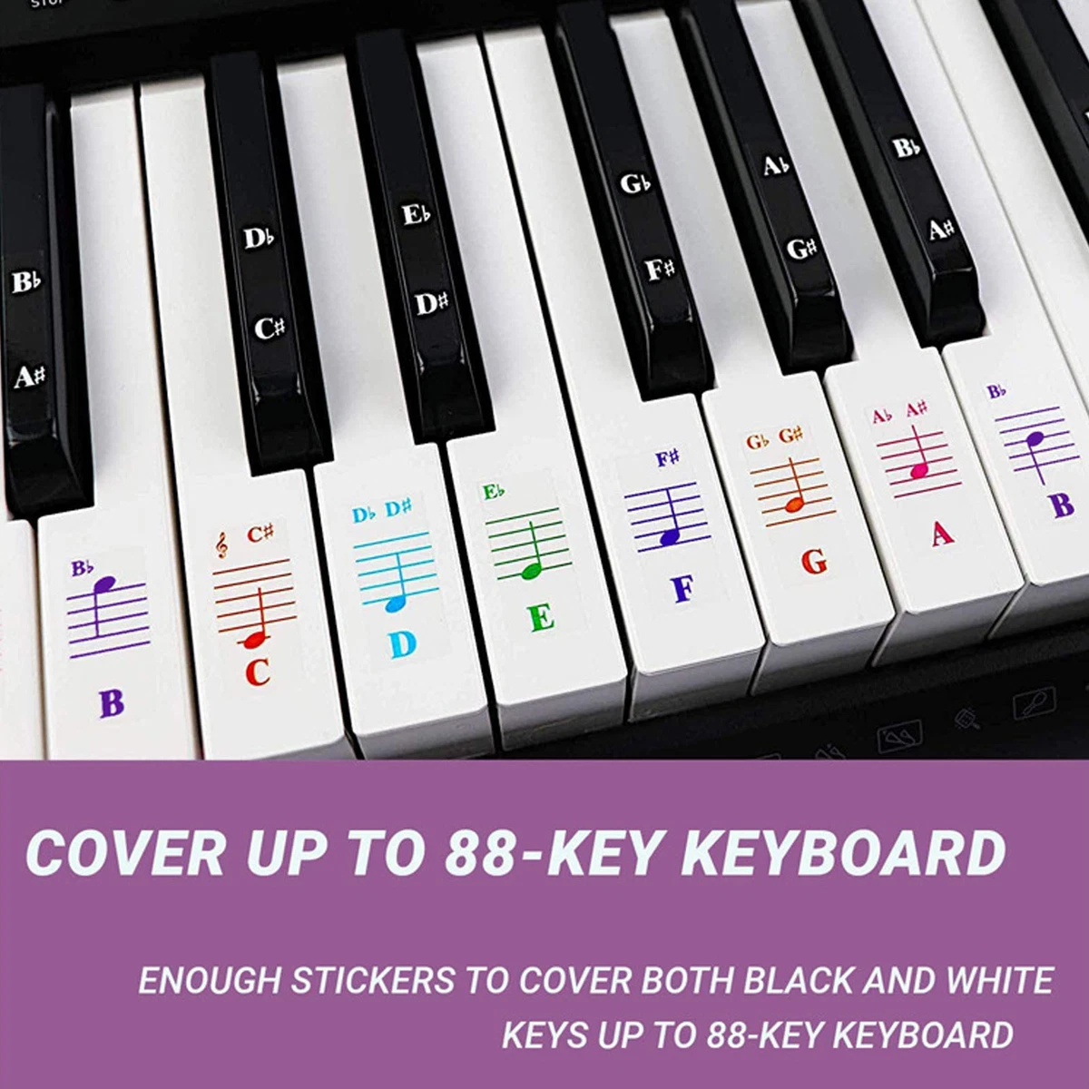 61 key 2024 piano labeled