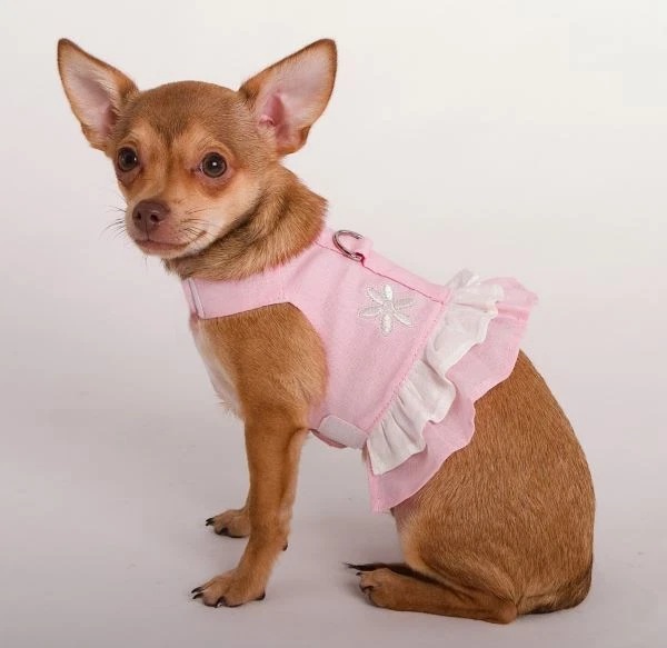 Arnés de cáñamo para perros doggles bordado cosido hembra Foto 3 de 4