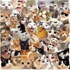50/100PCS Cartoon Funny Cat Transparent PET Stickers DIY Laptop Scooter Statione