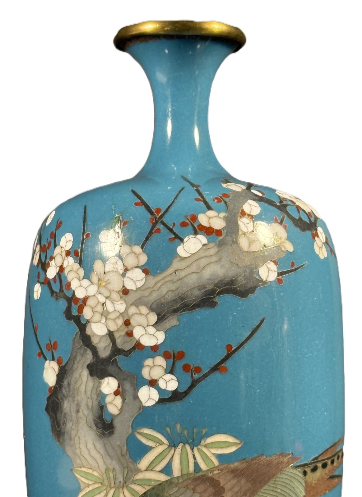 Fine Japanese Meiji Cloisonné Vase – Pheasant & Plum Blossoms on Turquoise Groun
