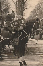 German WW II Photo --   Soldier Drummer   At Military Parade