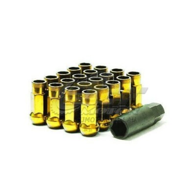 yuki　1001 10017577 - Zebra 2