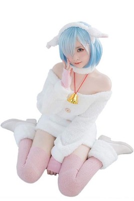 Re:Zero Rem Cosplay Wolf Costume M Size Wig Included Halloween Anime Wrap Japan