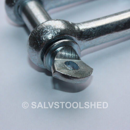 10 × 12mm D Shackles U Loop Pin Dee Shackle Chain Link Fastener - Picture 3 of 4