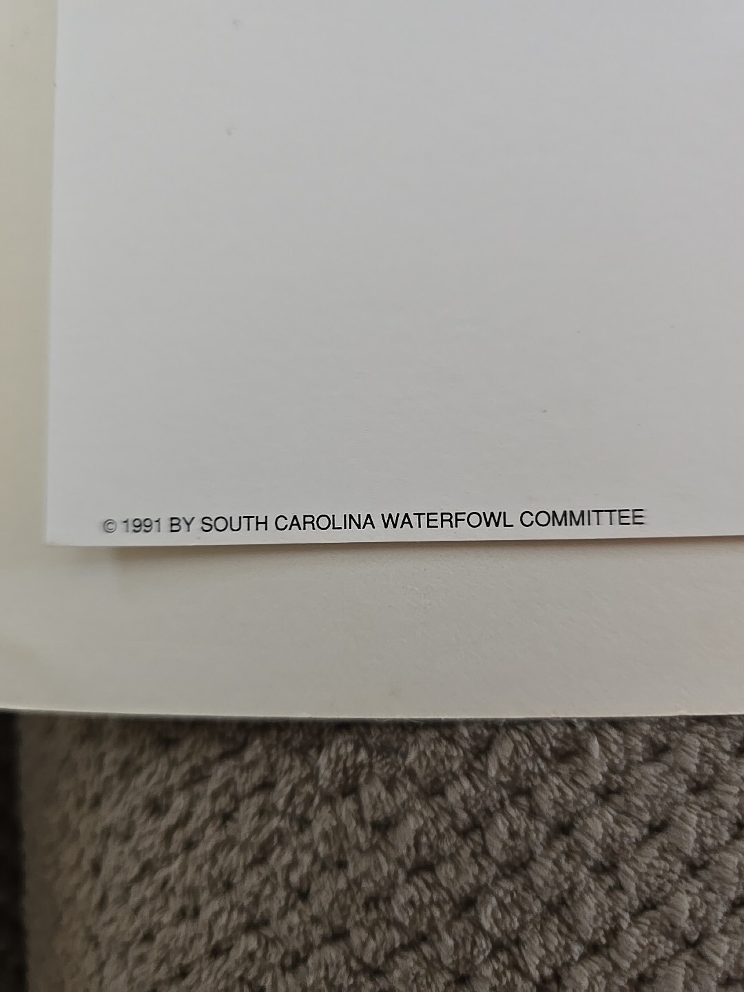 Picture 6 of 9