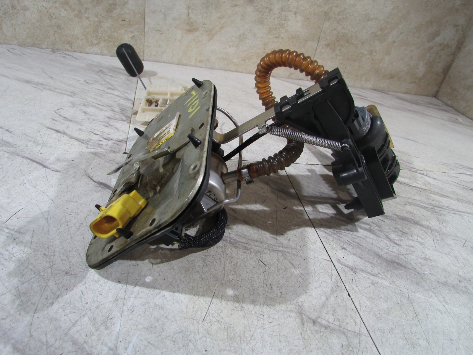Picture 3