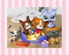 Authentic Littlest Pet Shop LPS Puppy Dog Lot Boston Terrier Yorkie Jack Russel