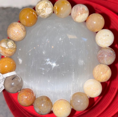 Fossilized Coral Bracelet 12 mm - Picture 2 of 4