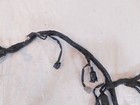 Foto 10 di 14