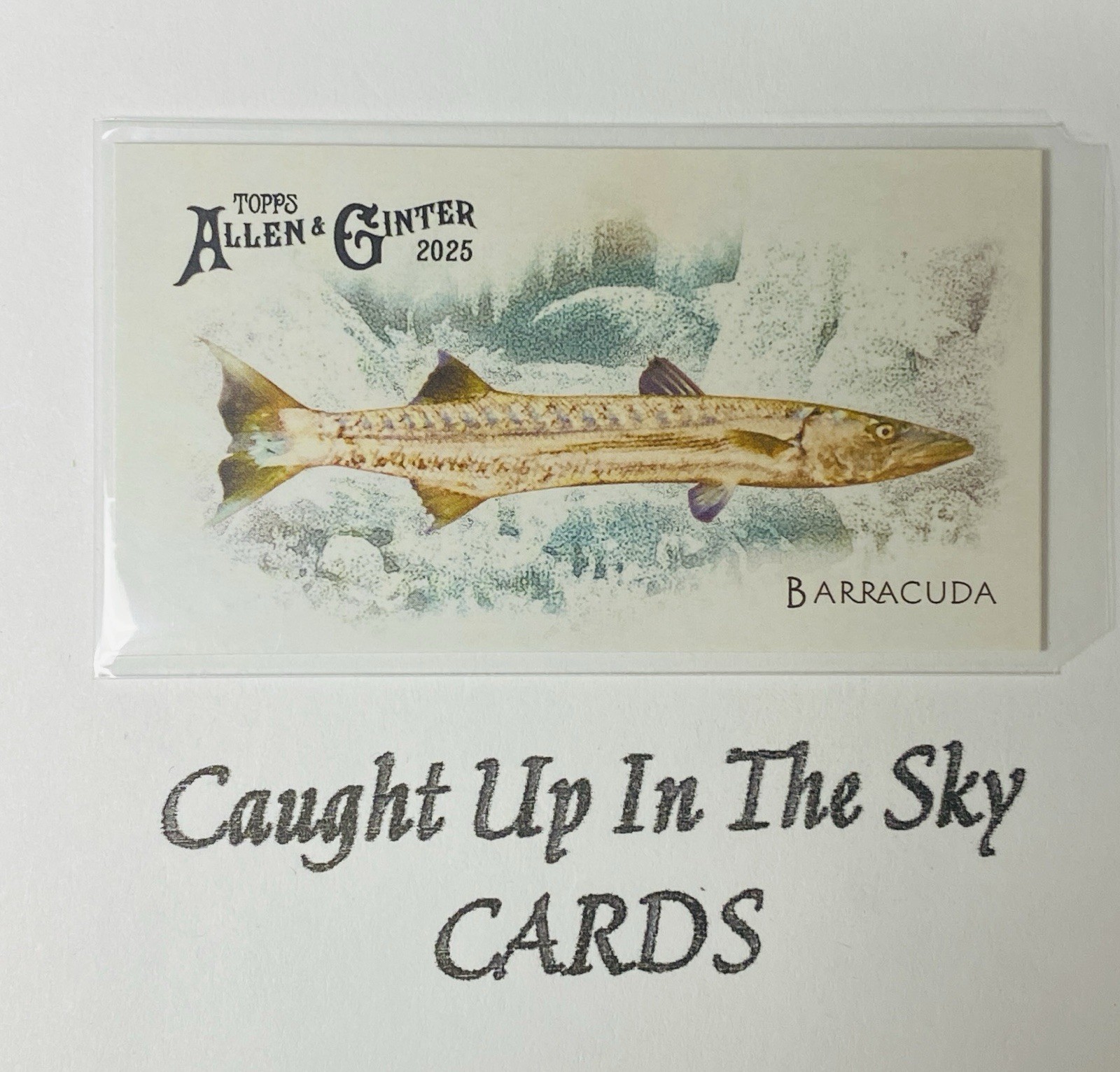 2025 Topps Allen & Ginter Mini Inserts--Pick Your Card--$1 Ships All Pick