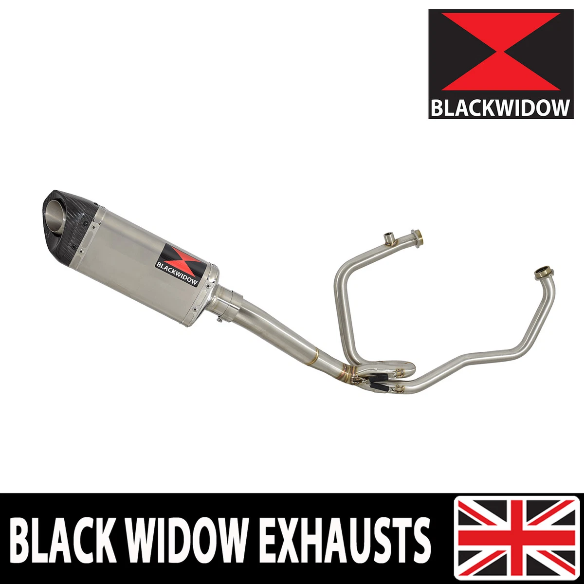 Hyosung gt250r sale exhaust