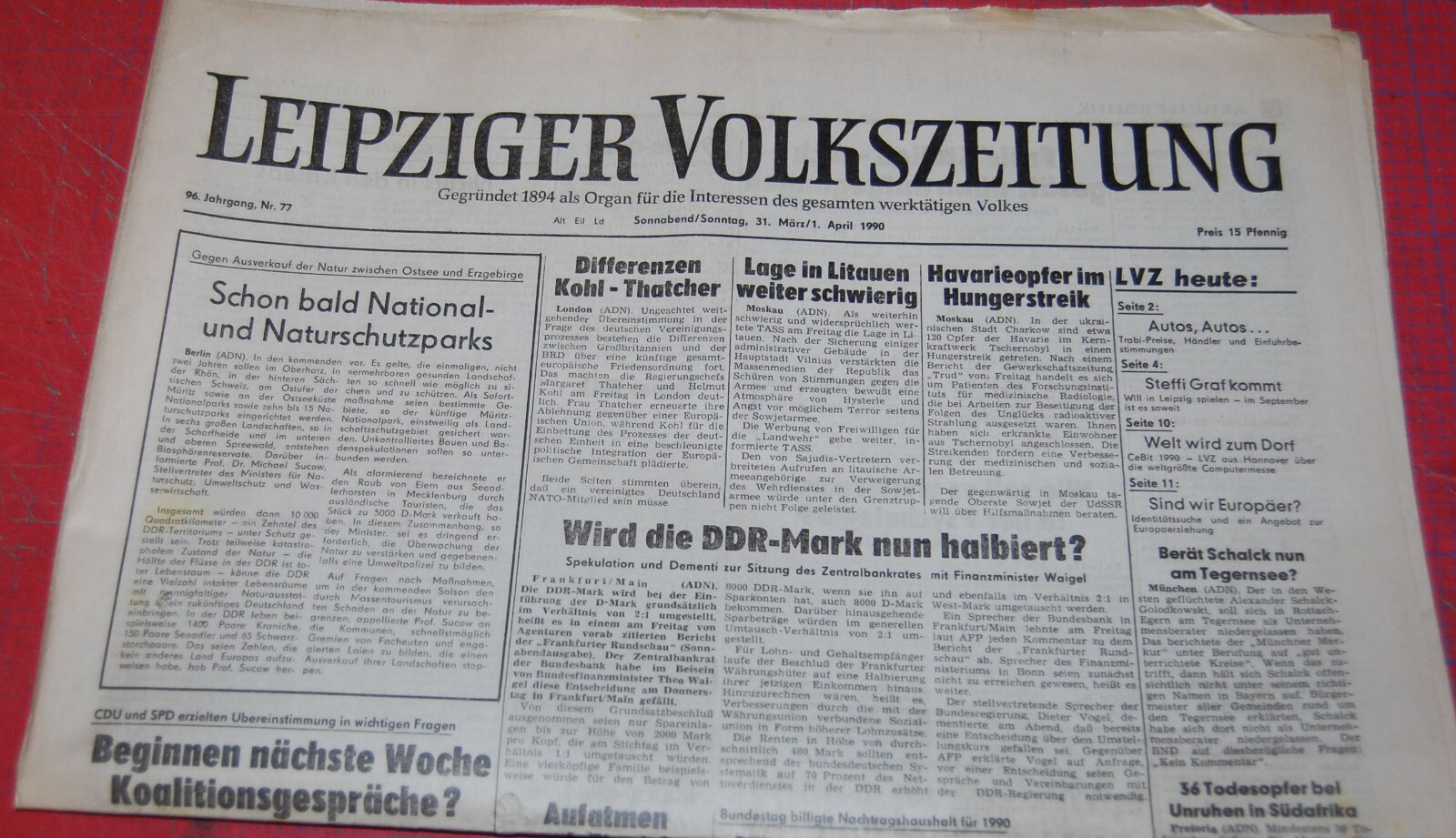 Bild 11 von 13