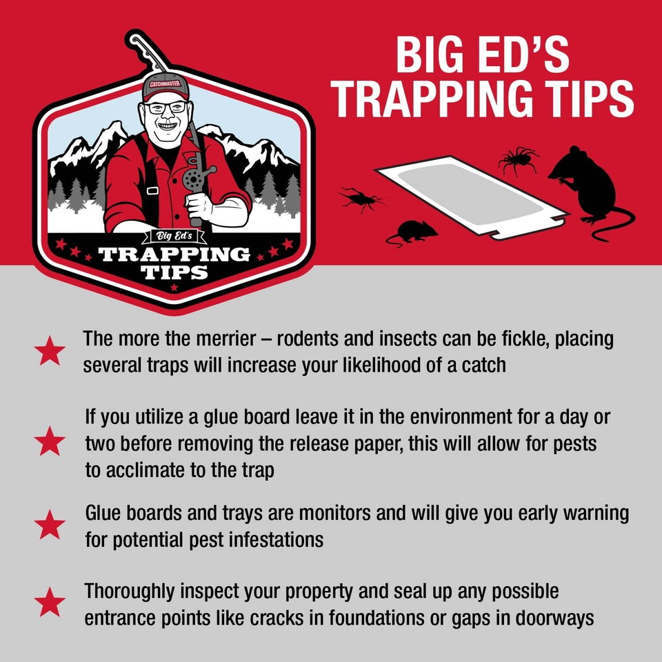 Super Glue Sticky Traps for Rats, Mice & Insects NonToxic Pest