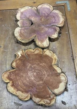 2 Live Edge Red Cedar Rounds, Cookies, Wood Working, Craft Wood, 10"-13"x 1 1/2"