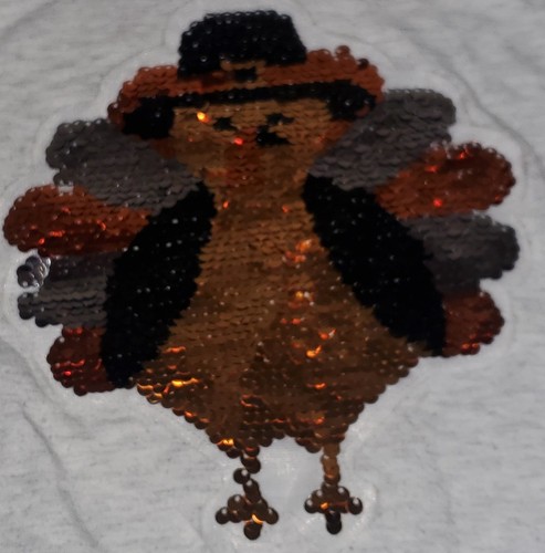 Camisa Poof Niña Lentejuelas Jaspeadas Acción de Gracias Pavo Naranja XL 12-14 *W25 - Imagen 3 de 5