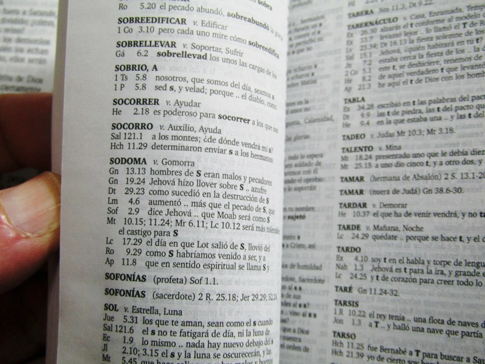 Biblia Reina Valera 60 de bolsillo con funda, concordancia y mapas ESPAÑOL - Imagen 4 de 4