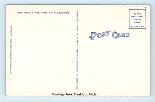 MI Postcard Busy Persons Correspondence Card Greetings From Frankfort MI Girl - Picture 2 of 2