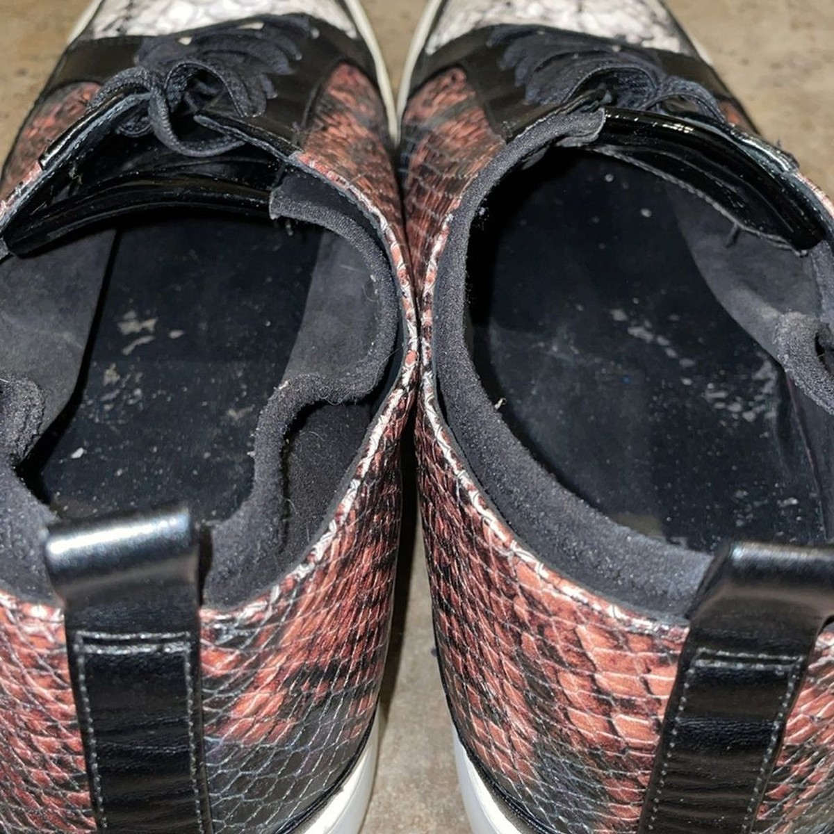 27Edit Naturalizer Valarie Leather Snake Print Sneaker Shoes
