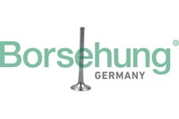 Borsehung Auslassventil B19011 FüR Audi A3 1.8 Tfsi 2.0 S3 Quattro VW Golf V