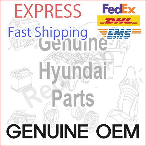 Original OEM EinspritzdüSe 338002U000 FüR Hyundai Tucson KIA Seltos-image
