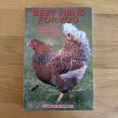 Best Hens for You: Choosing Breeds for the Garden-Charlotte Popescu