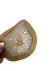 4x Agate Coasters | Mushroom Tan | Polished Edge | New