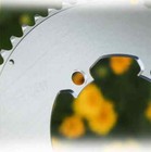 Bild 22 von 33