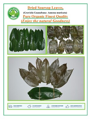 Bio Graviola Welness Soursop Blätter Tee (Pestisidreinigung zertifiziert)