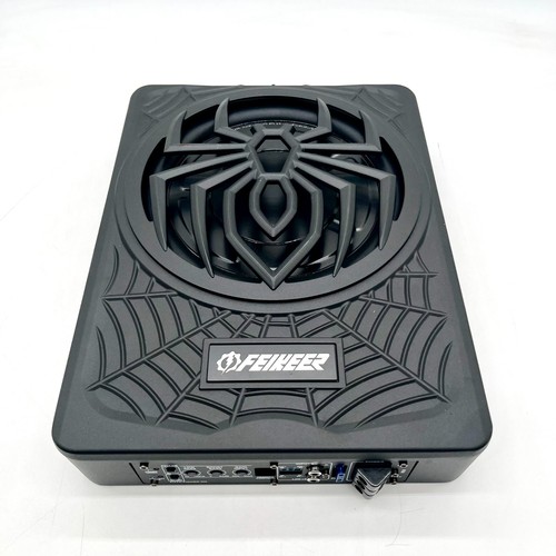 10 Inch 1250W Active Subwoofer with High Power and Low Distortion Amplifier